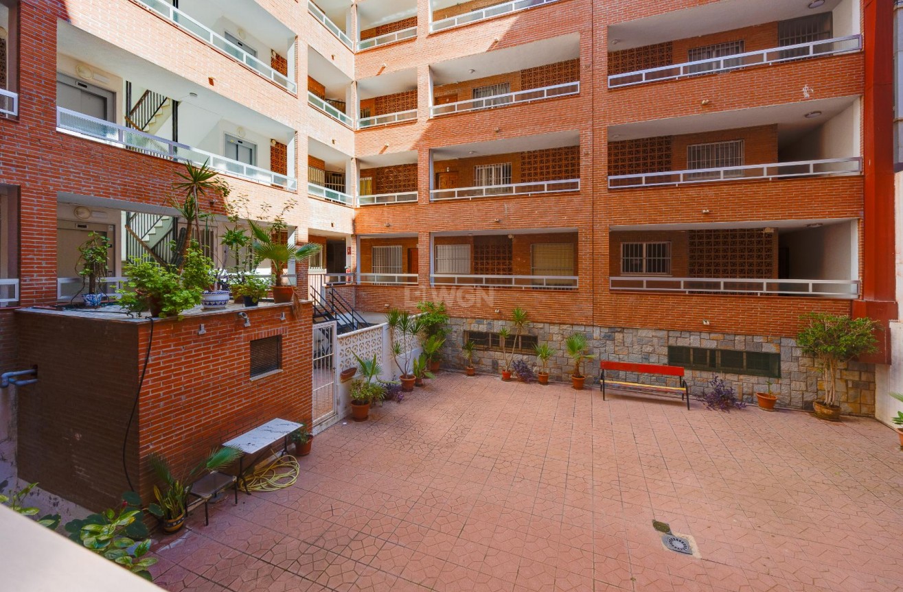 Wiederverkauf - Wohnung - Torrevieja - Costa Blanca