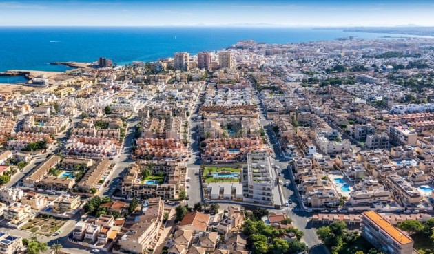 Obra nueva - Apartamento / piso - Torrevieja - Los Frutales