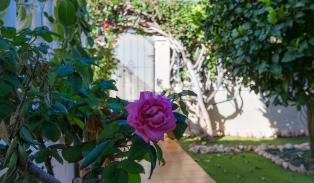 Wiederverkauf - Villa - Orihuela Costa - Lomas de Cabo Roig