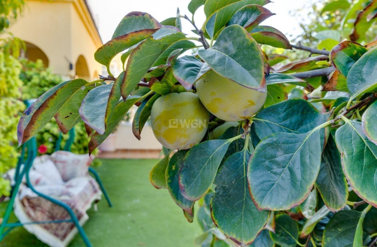 Wiederverkauf - Villa - Orihuela Costa - Lomas de Cabo Roig