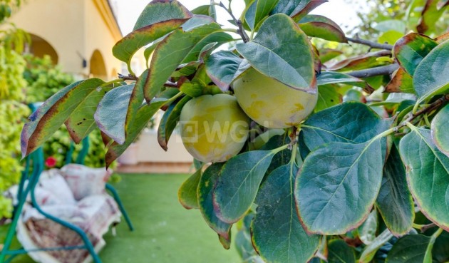 Wiederverkauf - Villa - Orihuela Costa - Lomas de Cabo Roig