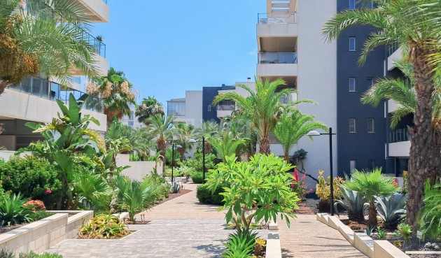 Reventa - Apartamento / piso - Orihuela Costa - Los Dolses