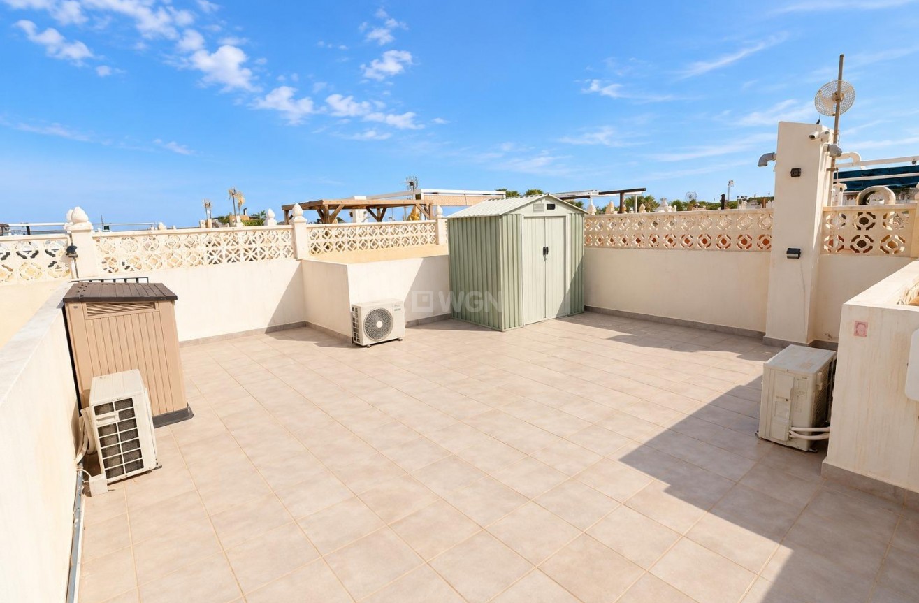 Wiederverkauf - Bungalow - Torrevieja - Costa Blanca