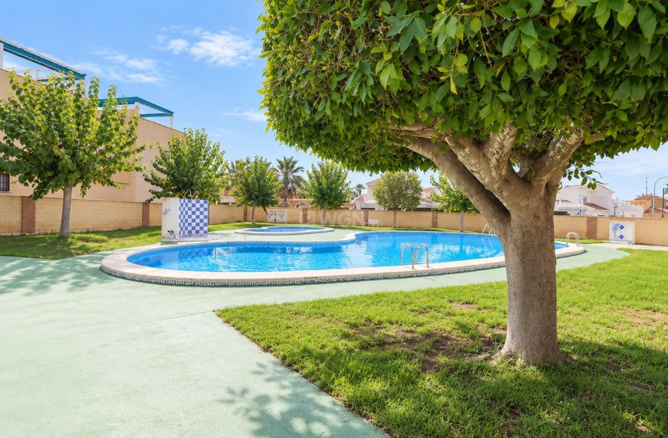 Wiederverkauf - Bungalow - Torrevieja - Costa Blanca