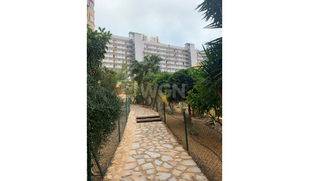 Resale - Apartment / flat - Benidorm - Costa Blanca