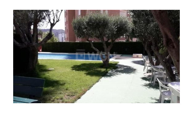 Reventa - Apartamento / piso - Benidorm - Costa Blanca