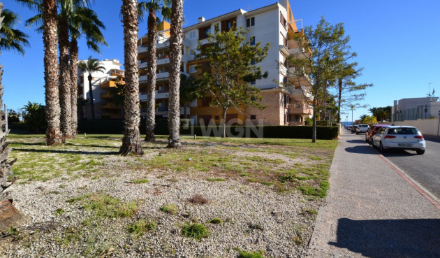 Resale - Apartment / flat - Orihuela Costa - Punta Prima