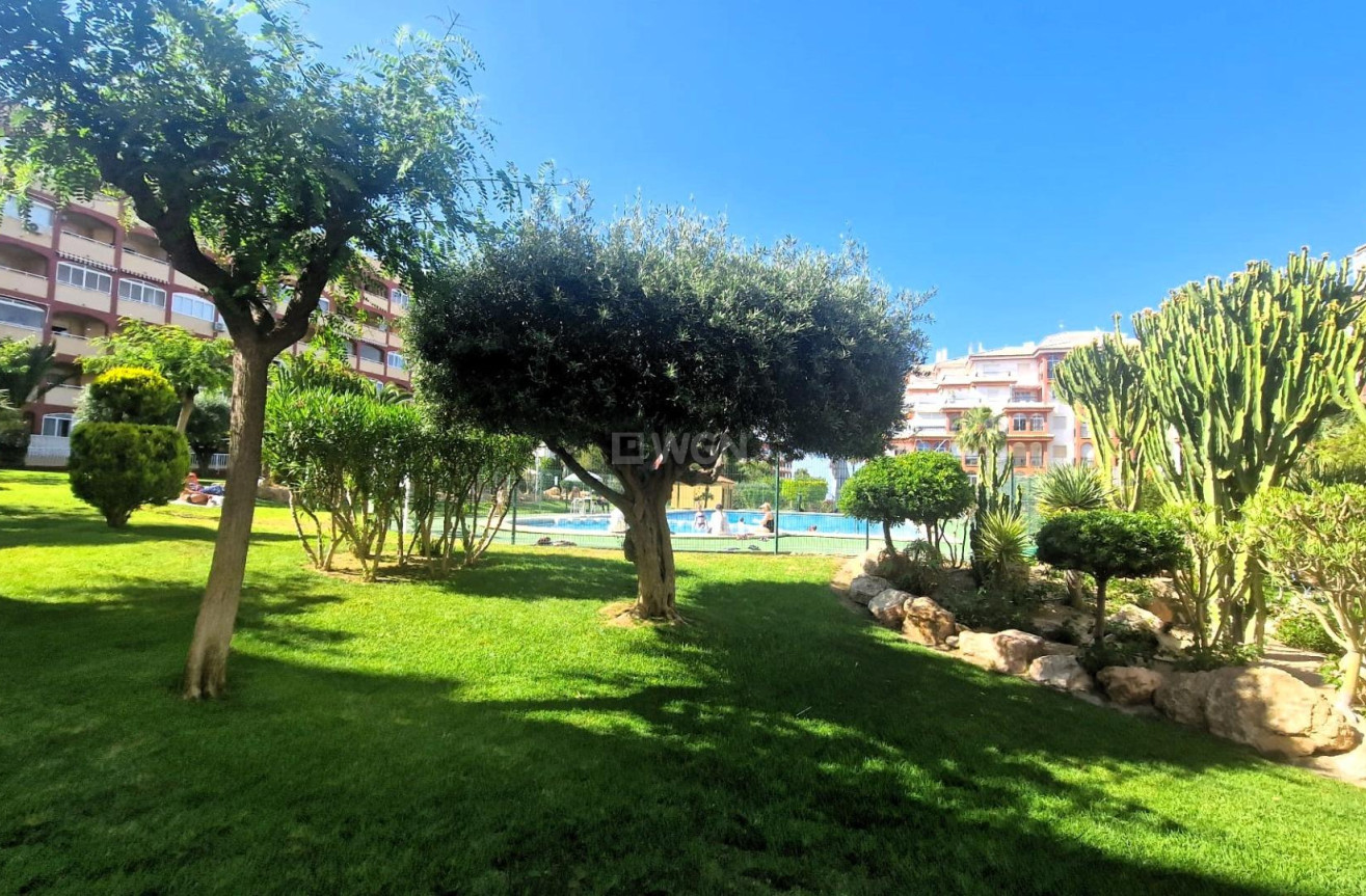 Resale - Apartment / flat - Torrevieja - Torreblanca