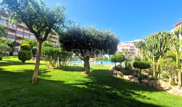 Resale - Apartment / flat - Torrevieja - Torreblanca