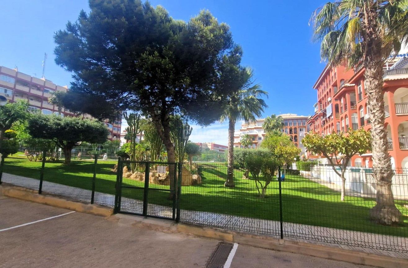 Reventa - Apartamento / piso - Torrevieja - Torreblanca