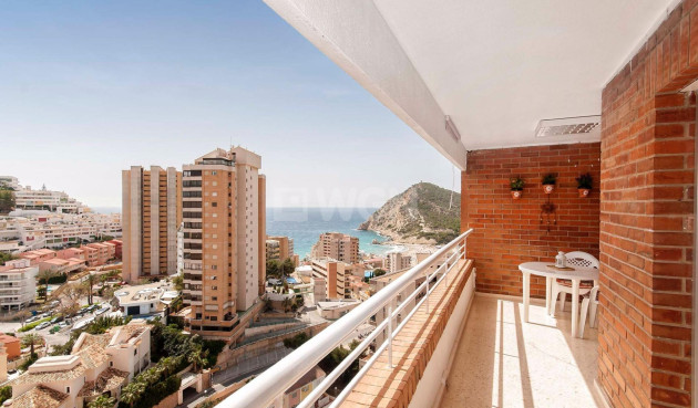 Reventa - Apartamento / piso - Benidorm - Hotel Bali