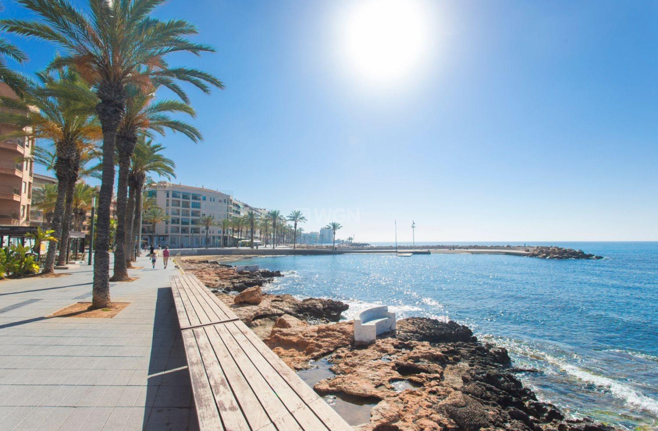 Resale - Apartment / flat - Torrevieja - Paseo Maritimo