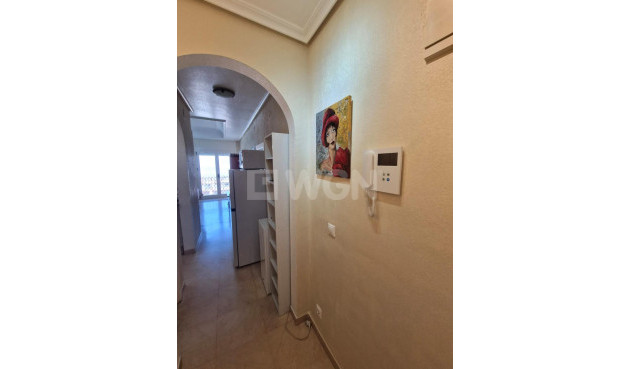 Resale - Apartment / flat - Torrevieja - Paseo Maritimo