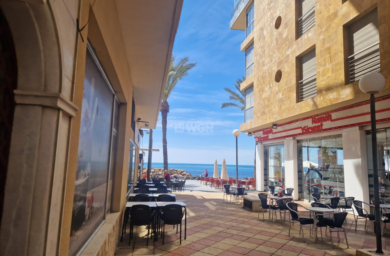 Resale - Apartment / flat - Torrevieja - Paseo Maritimo