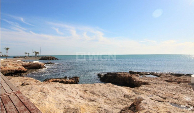 Resale - Apartment / flat - Torrevieja - Paseo Maritimo