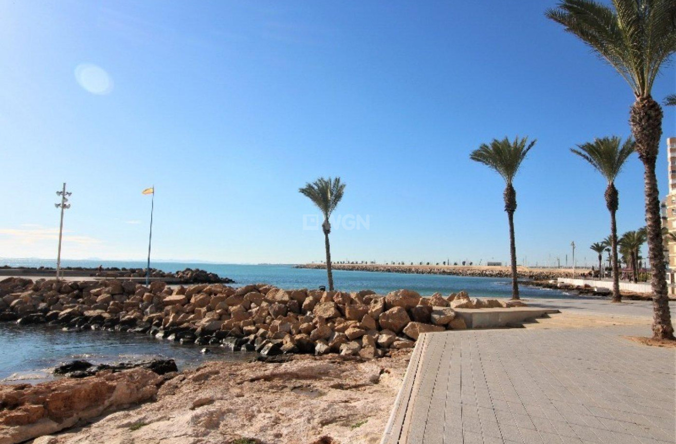 Resale - Apartment / flat - Torrevieja - Paseo Maritimo