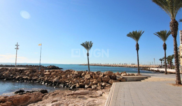 Resale - Apartment / flat - Torrevieja - Paseo Maritimo