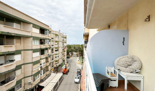 Resale - Apartment / flat - Guardamar del Segura - Centro