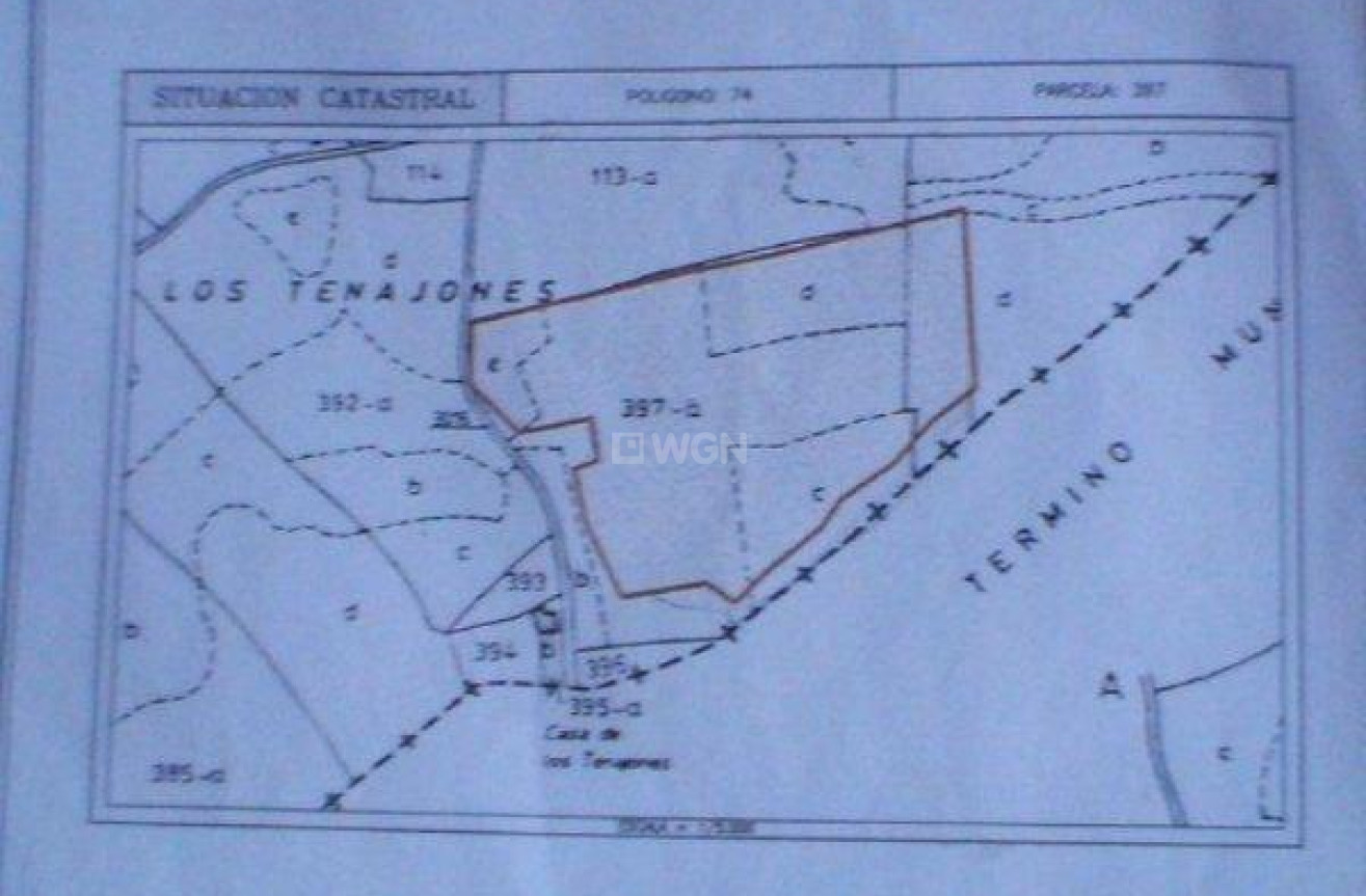 Reventa - Land - Jumilla - CaÑada Del Trigo