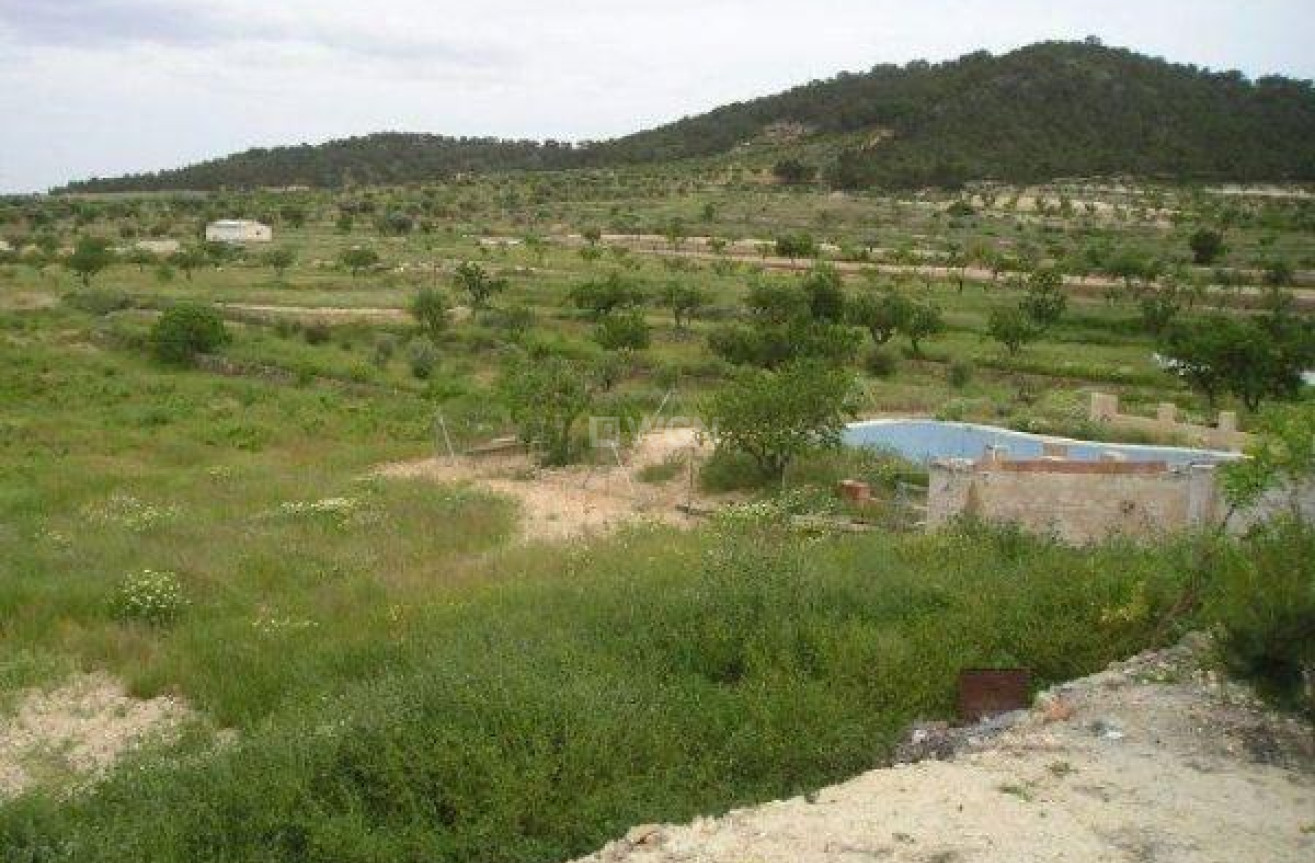 Reventa - Land - Jumilla - CaÑada Del Trigo