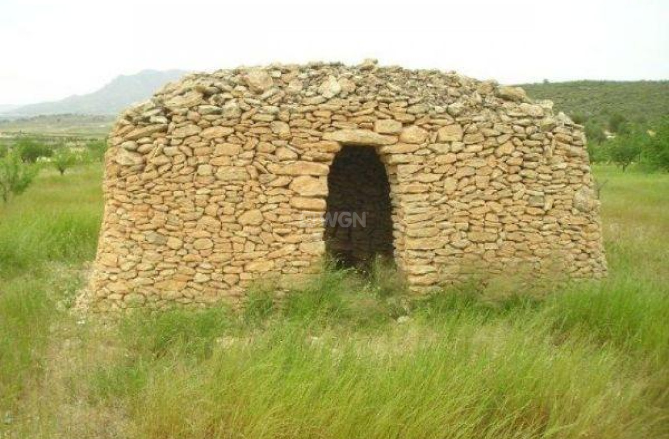 Odsprzedaż - Land - Jumilla - CaÑada Del Trigo