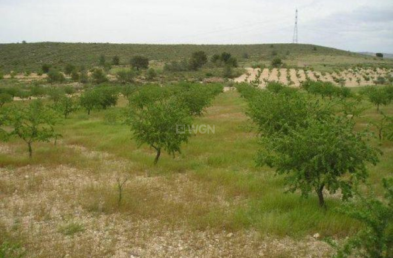 Resale - Land - Jumilla - CaÑada Del Trigo