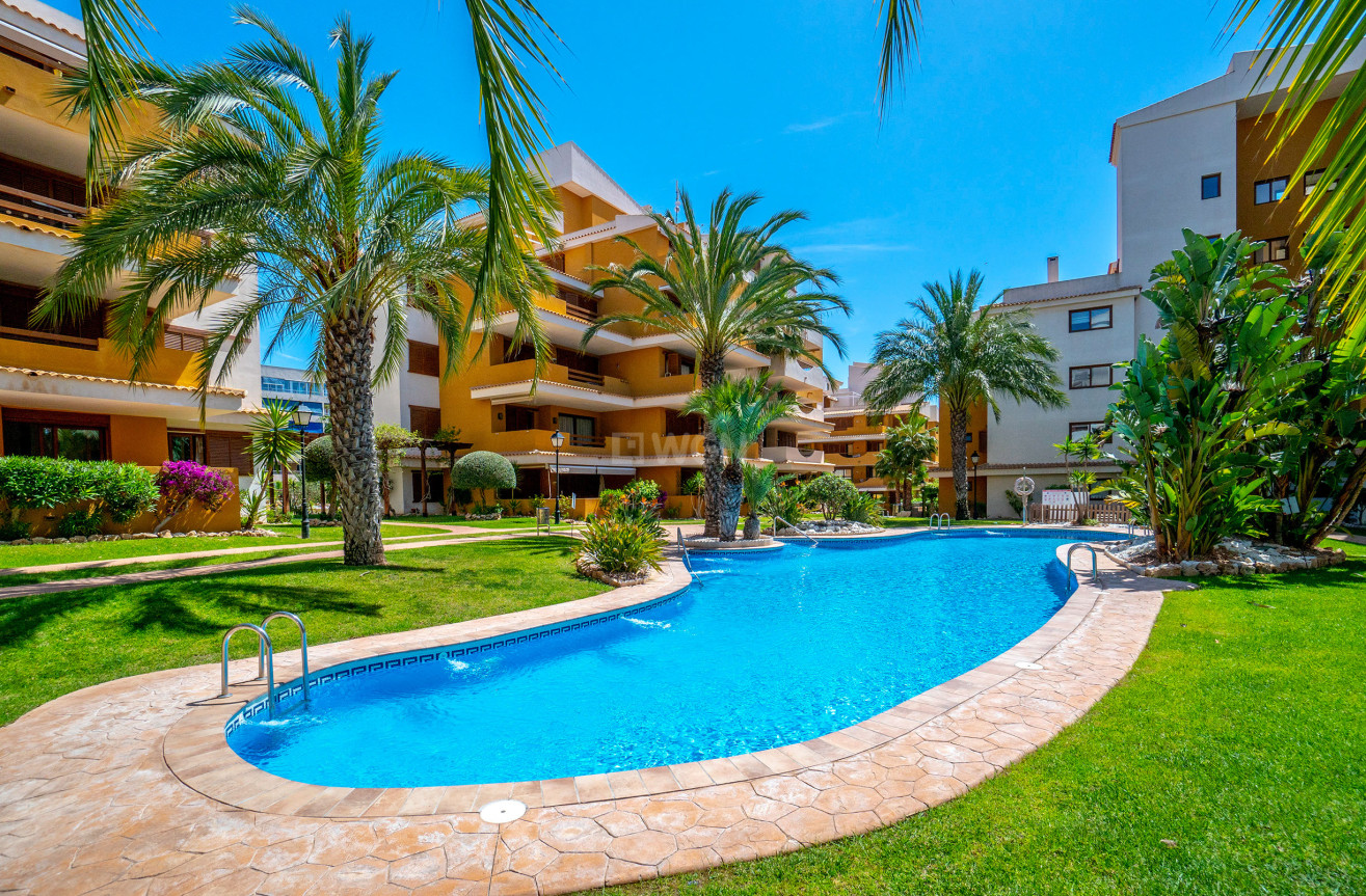 Resale - Apartment / flat - Punta Prima - Costa Blanca