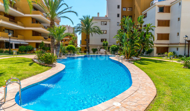 Resale - Apartment / flat - Punta Prima - Costa Blanca