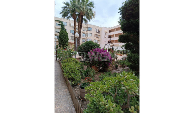 Reventa - Apartamento / piso - Alicante - Costa Blanca