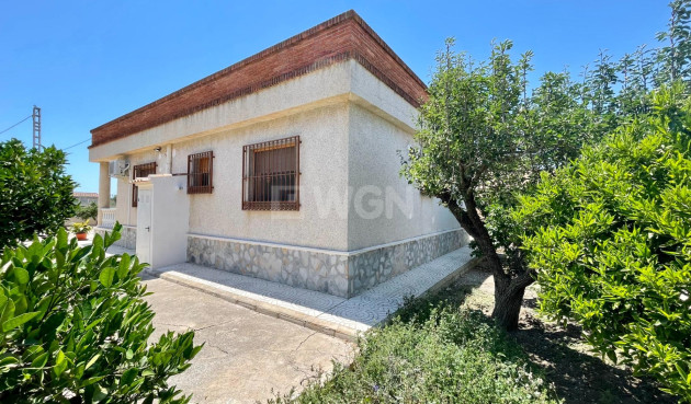 Resale - Finca - Redován - La Cruz