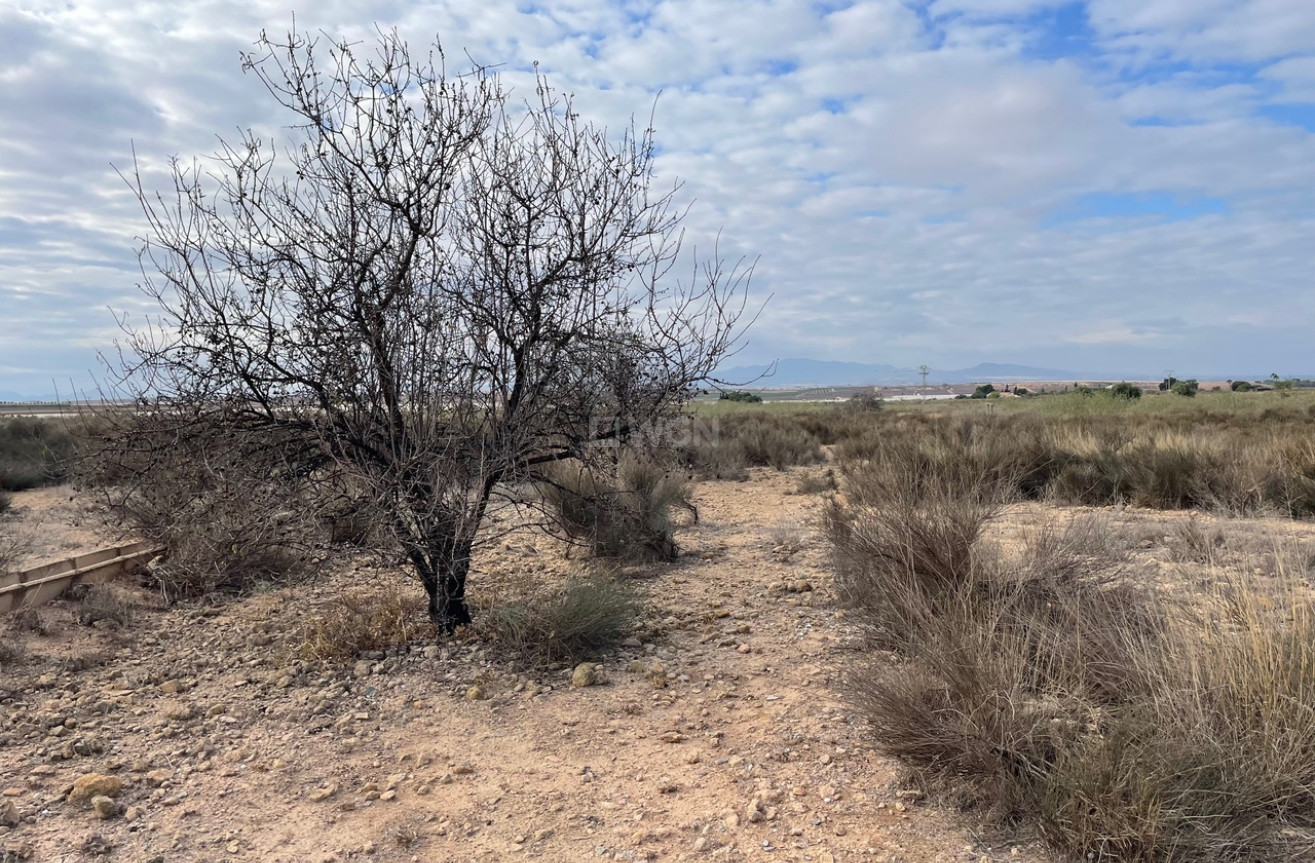 Reventa - Land - Alhama De Murcia - Inland