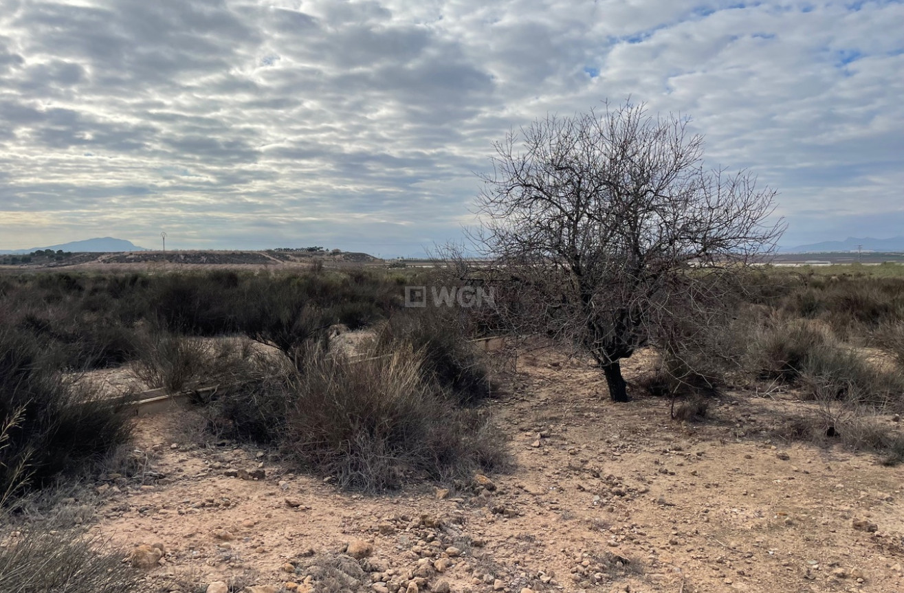 Odsprzedaż - Land - Alhama De Murcia - Inland