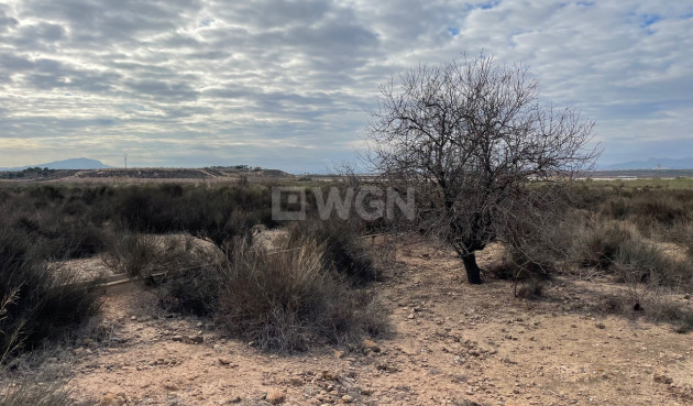 Resale - Land - Alhama De Murcia - Inland