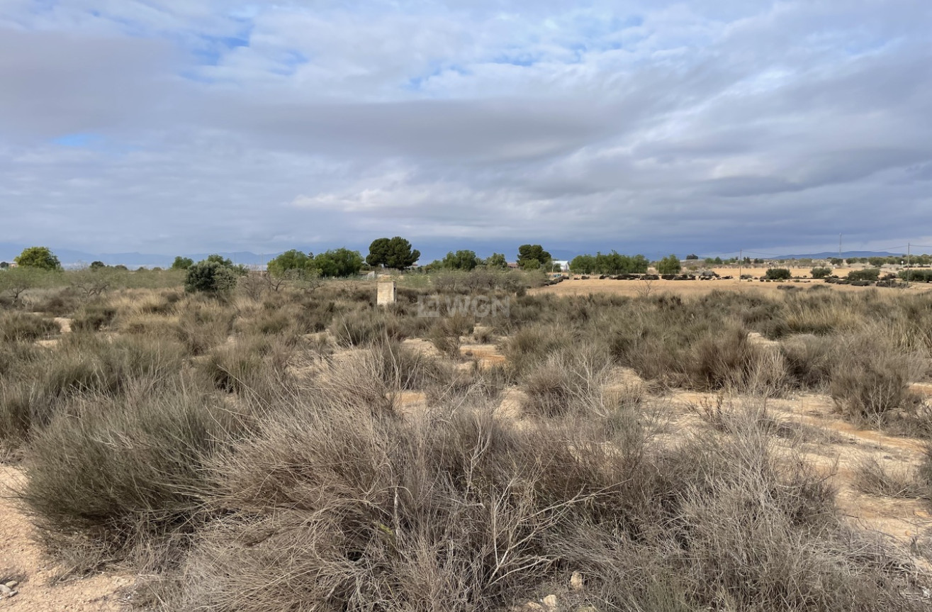 Odsprzedaż - Land - Alhama De Murcia - Inland