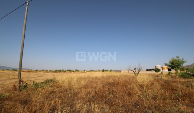 Odsprzedaż - Country House - Torre Del Rico - Inland