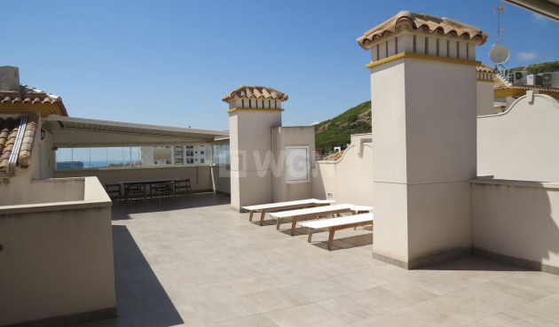 Resale - Penthouse - Guardamar del Segura - Costa Blanca