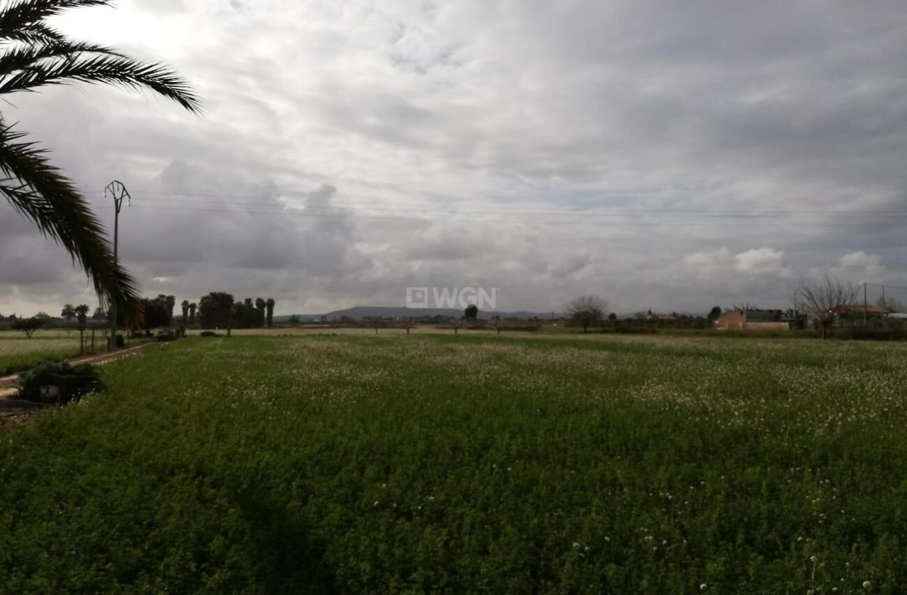 Odsprzedaż - Finca - Callosa de Segura - Costa Blanca