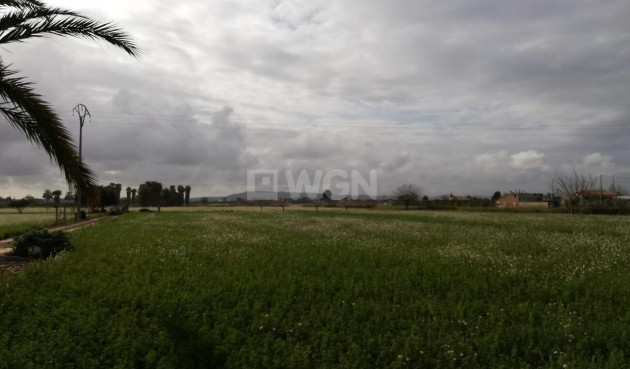 Odsprzedaż - Finca - Callosa de Segura - Costa Blanca