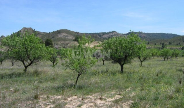 Resale - Land - Murcia - Inland