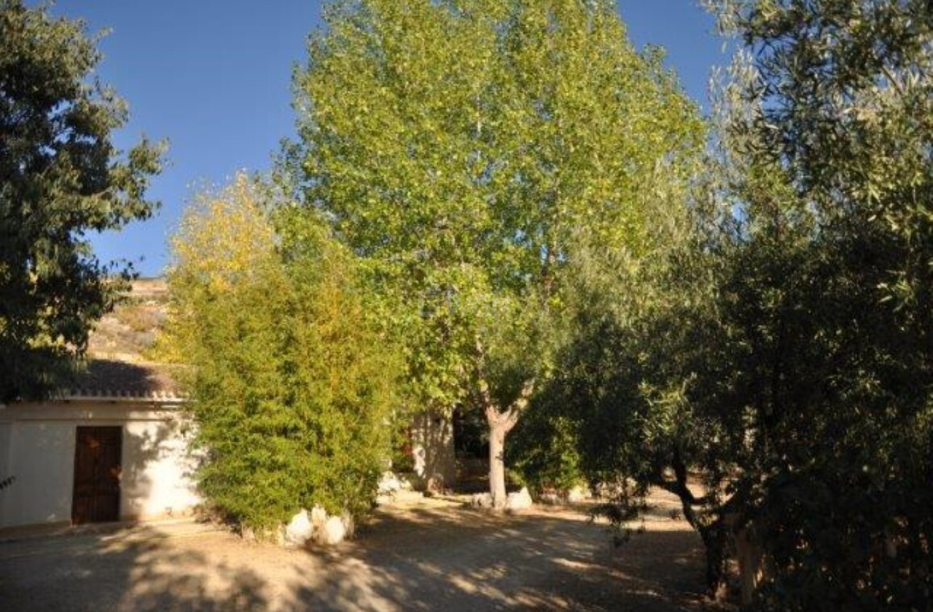 Reventa - Finca - Torremanzanas - Costa Blanca