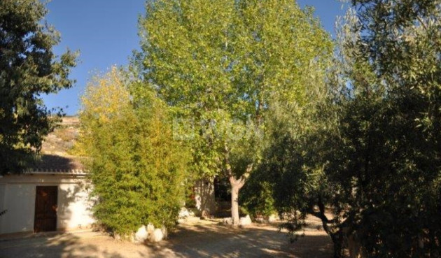 Reventa - Finca - Torremanzanas - Costa Blanca