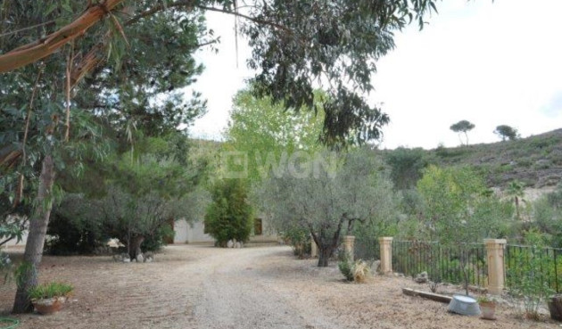 Reventa - Finca - Torremanzanas - Costa Blanca