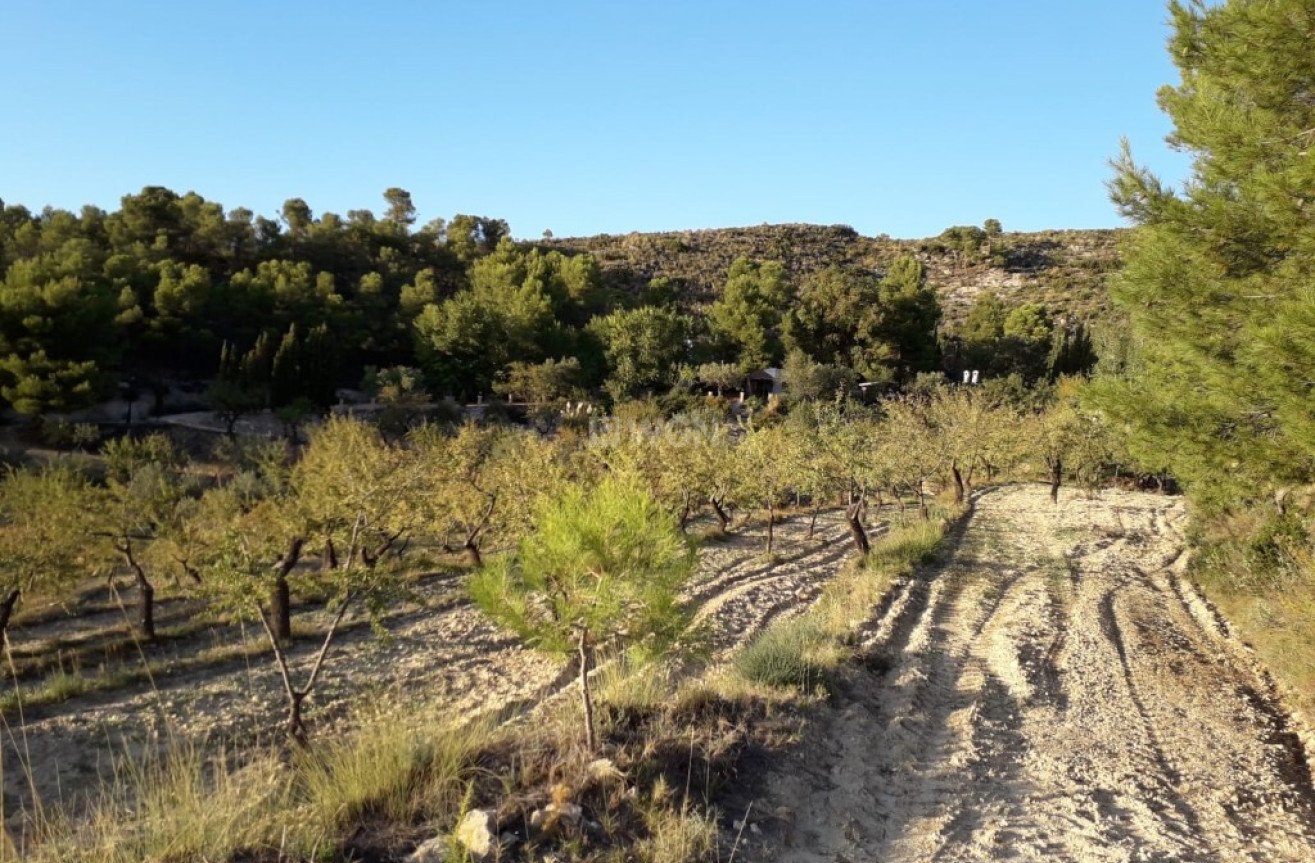 Reventa - Finca - Torremanzanas - Costa Blanca