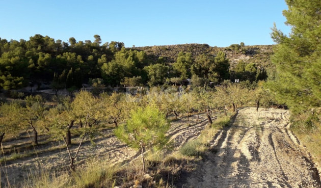 Odsprzedaż - Finca - Torremanzanas - Costa Blanca