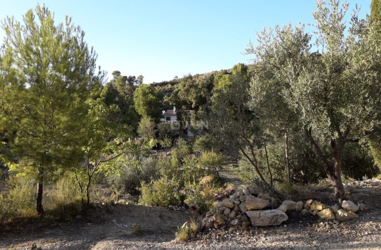 Reventa - Finca - Torremanzanas - Costa Blanca