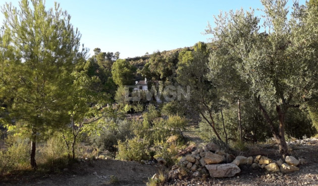 Resale - Finca - Torremanzanas - Costa Blanca