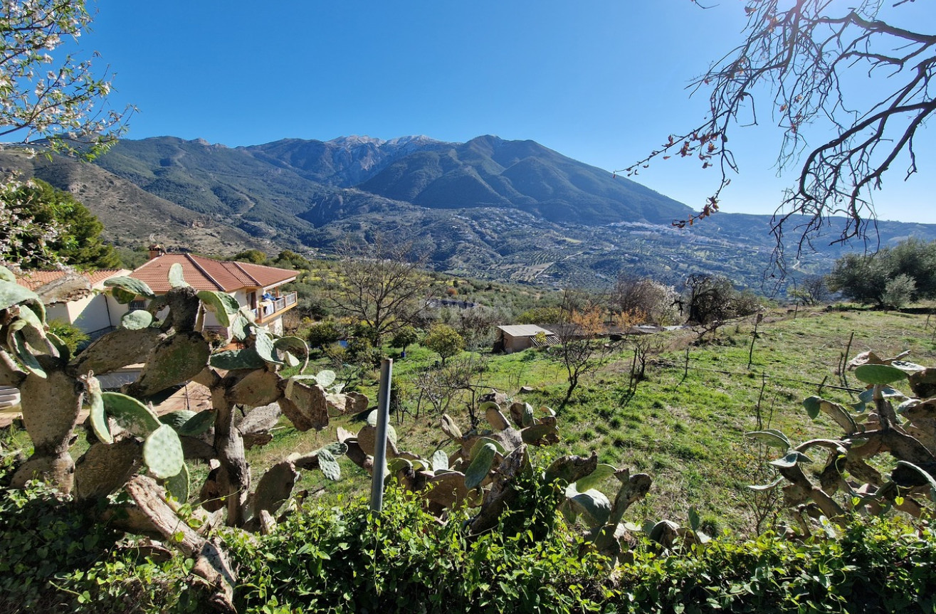 Reventa - Comercial - Alcaucín - Inland