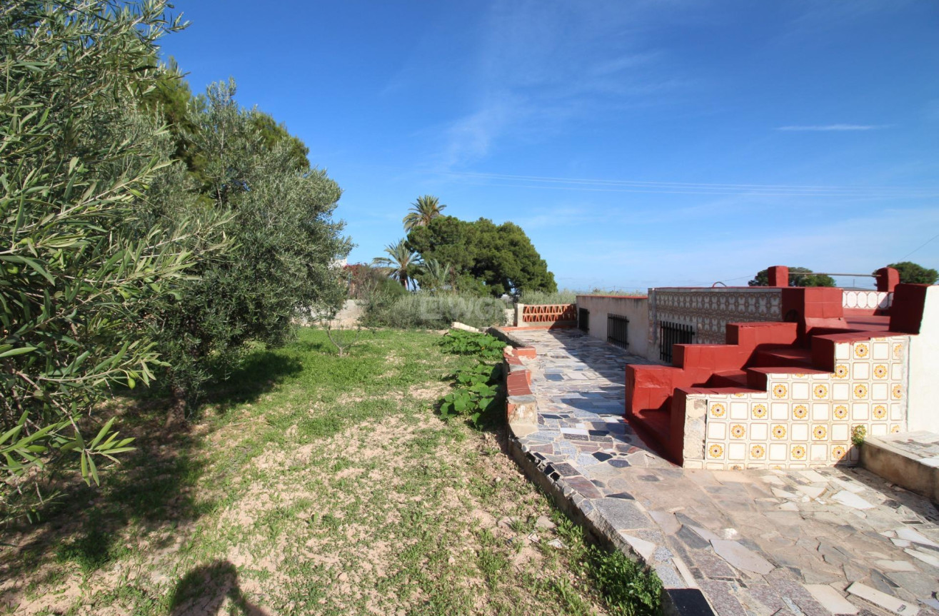 Resale - Finca - Crevillent - P.catxapets