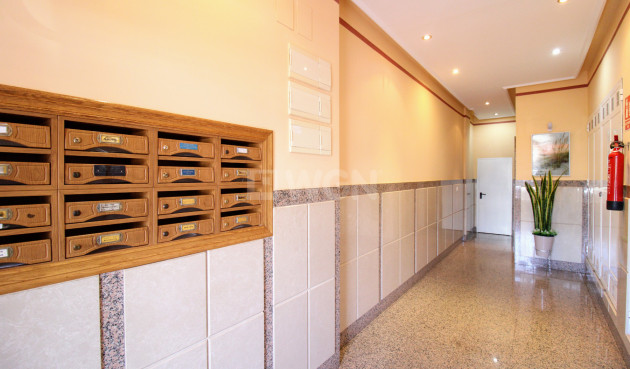 Resale - Apartment / flat - Torrevieja - Costa Blanca