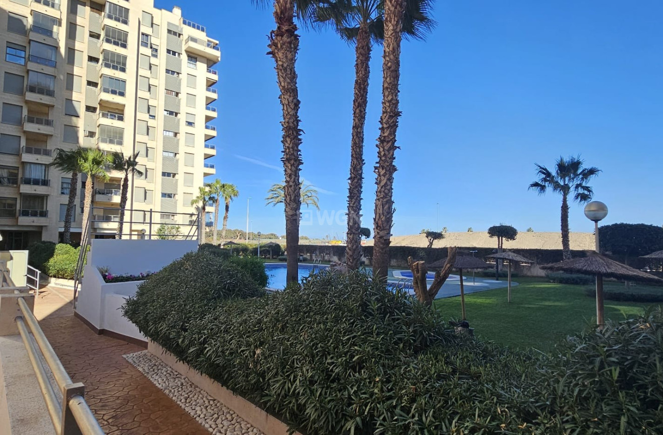 Resale - Apartment / flat - Guardamar del Segura - Costa Blanca